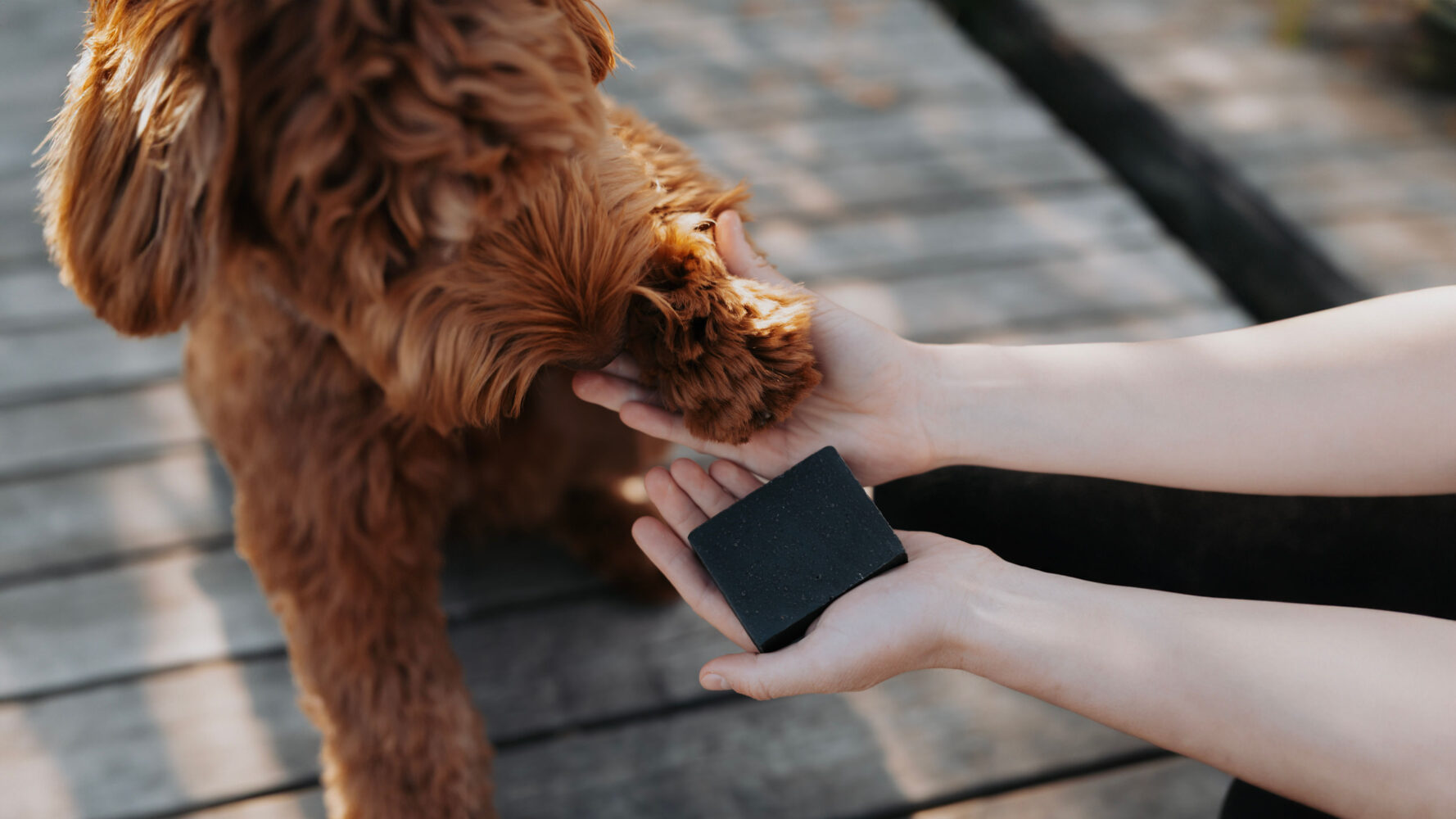 Schwarzkümmelseife für Hunde